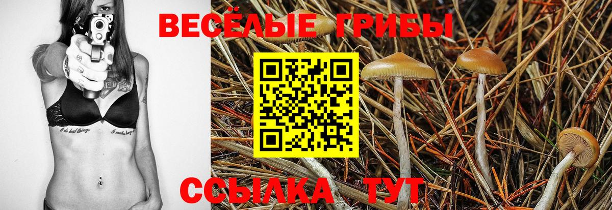 где найти   Вход с VPN  Коркино  Галлюциногенные грибы Magic Shrooms 